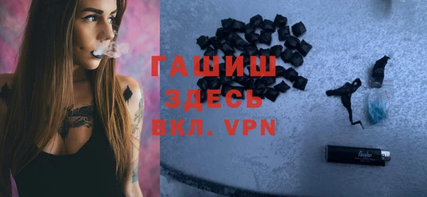 индика Яранск