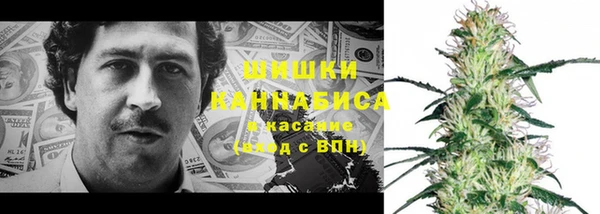 индика Арсеньев