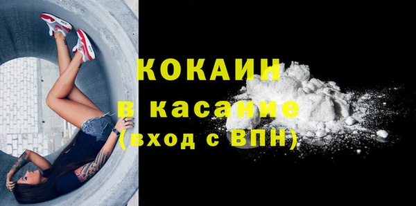 индика Арсеньев