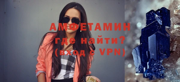 индика Арсеньев