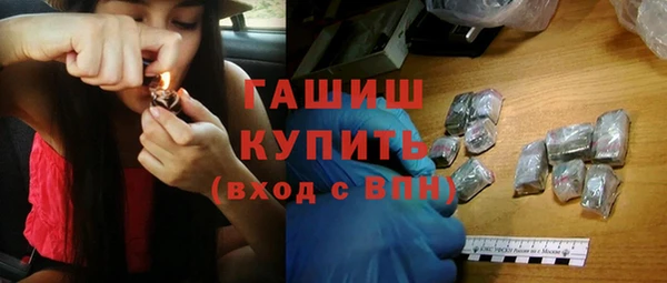 индика Арсеньев