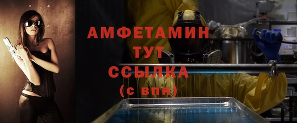 индика Яранск