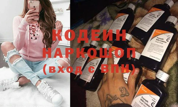 индика Арсеньев