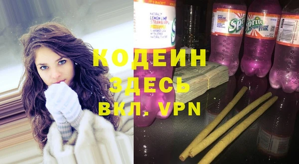 индика Арсеньев