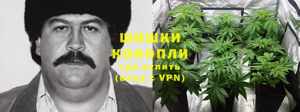 прущие крисы Аркадак