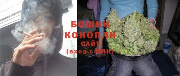 прущий лед Абаза