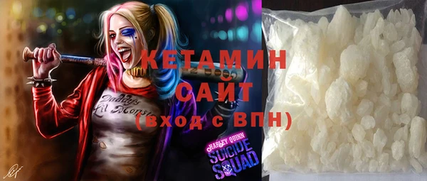 индика Арсеньев