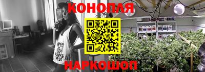 шишки Новозыбков
