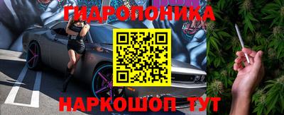 шишки Новозыбков