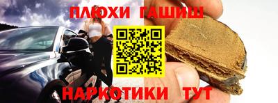 шишки Новозыбков
