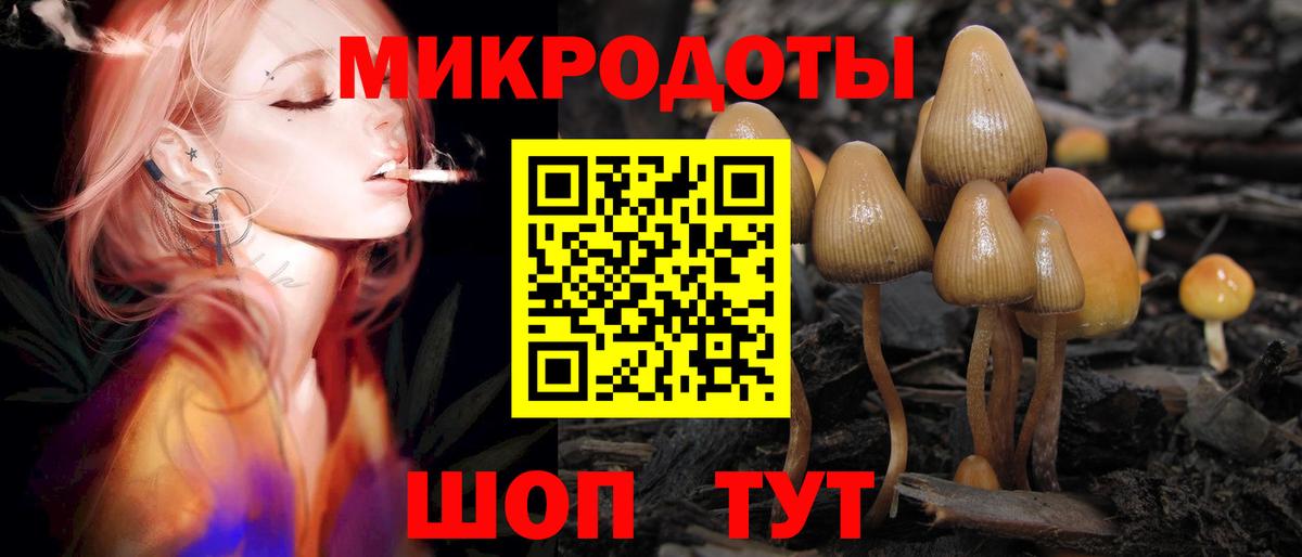 Сыктывкар  Галлюциногенные грибы Psilocybe  Вход с VPN 